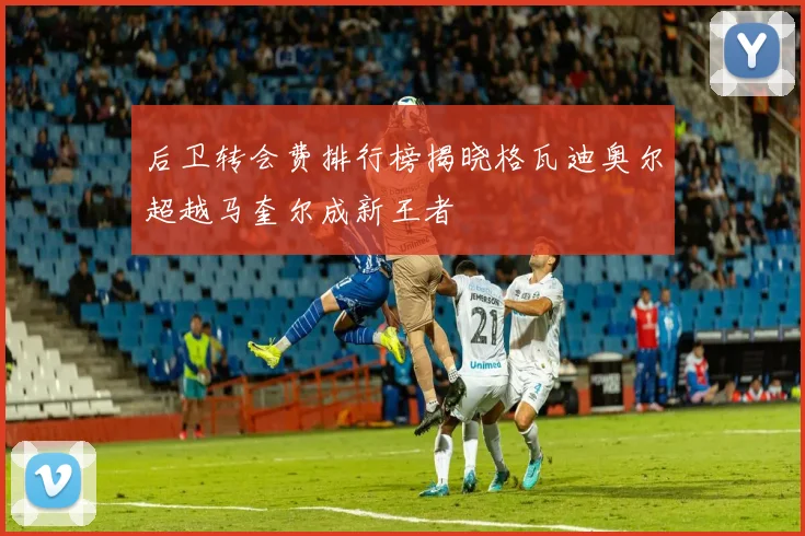 后卫转会费排行榜揭晓格瓦迪奥尔超越马奎尔成新王者