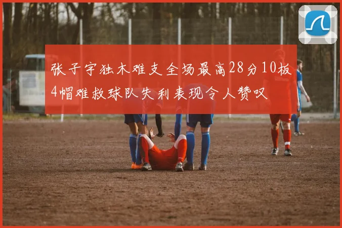 张子宇独木难支全场最高28分10板4帽难救球队失利表现令人赞叹